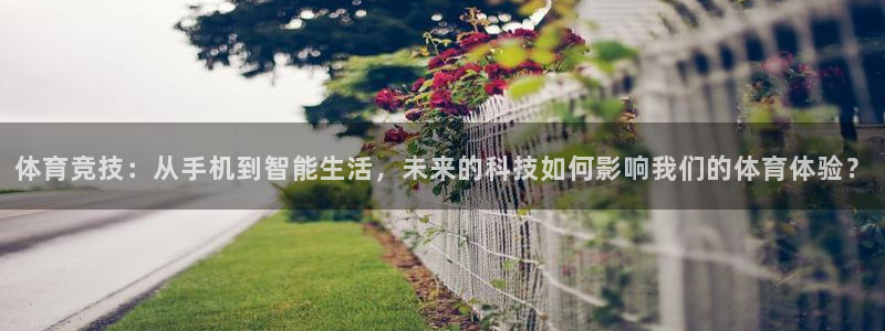 河豚体育赛事直播：体育竞技：从手机到智能生活，未来的科技如何影响我们的体育体验？