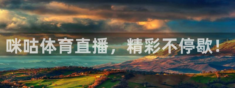 河豚体育在线观看直播