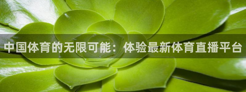 河豚体育直播免费
