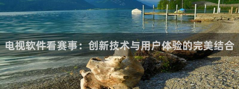 河豚看球